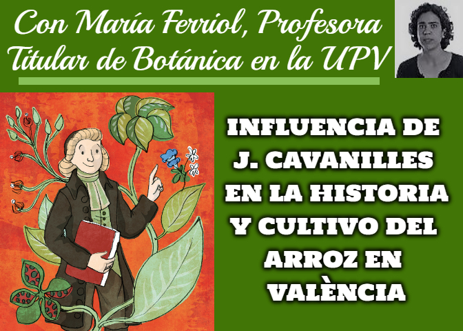 MARÍA FERRIOL: INFLUENCIA DE A.J. CAVANILLES EN LA HISTORIA Y EL CULTIVO DEL ARROZ