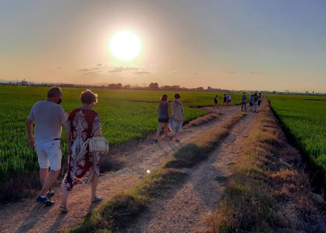 Visitas gratuitas a La Albufera hasta noviembre